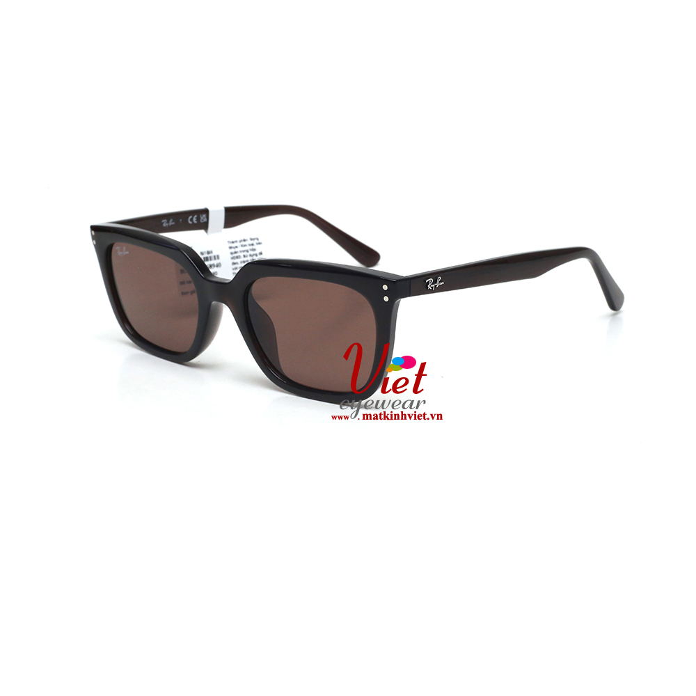 Kính mát RayBan RB4439D 6231/73